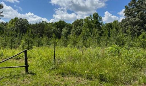 Photo #4 of Mini Ball Lane, Appomattox, VA 69.5 acres