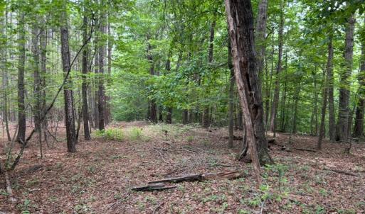 Photo #10 of Rock Cliff Road, Bedford, VA 27.0 acres