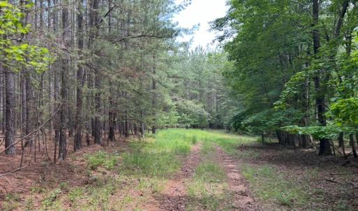 Photo #5 of Rock Cliff Road, Bedford, VA 27.0 acres
