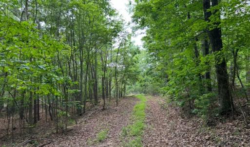 Photo #7 of Rock Cliff Road, Bedford, VA 27.0 acres