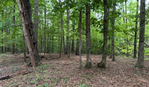 Photo #11 of Rock Cliff Road, Bedford, VA 27.0 acres