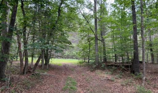 Photo #6 of Rock Cliff Road, Bedford, VA 27.0 acres