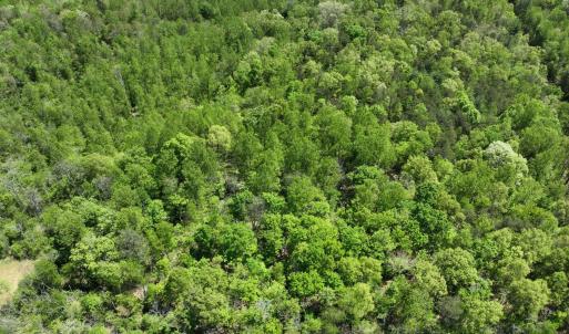 Photo #4 of Gidsville Lot 2A Road, Amherst, VA 10.2 acres