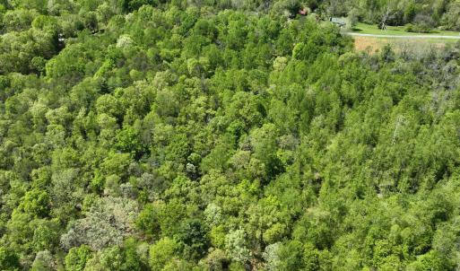 Photo #9 of Gidsville Lot 2A Road, Amherst, VA 10.2 acres