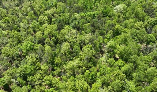 Photo #8 of Gidsville Lot 2A Road, Amherst, VA 10.2 acres