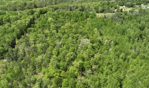 Photo #11 of Gidsville Lot 2A Road, Amherst, VA 10.2 acres