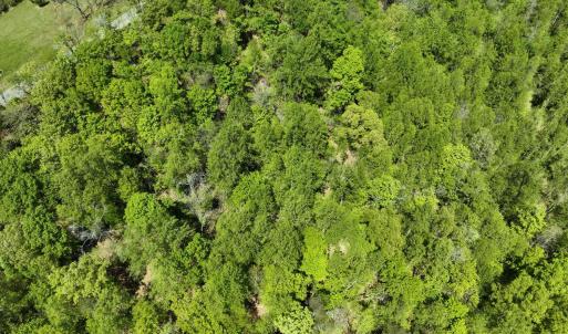 Photo #5 of Gidsville Lot 2A Road, Amherst, VA 10.2 acres