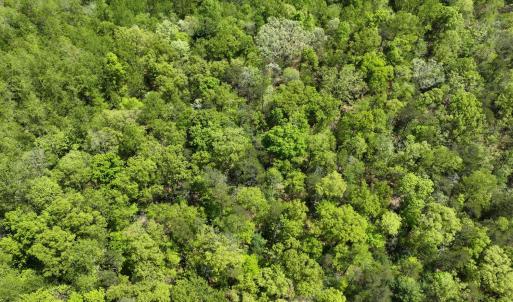 Photo #7 of Gidsville Lot 2A Road, Amherst, VA 10.2 acres