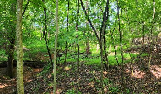 Photo #3 of Forest Shores Road, Wirtz, VA 0.7 acres