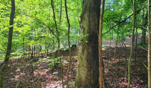 Photo #4 of Forest Shores Road, Wirtz, VA 0.7 acres