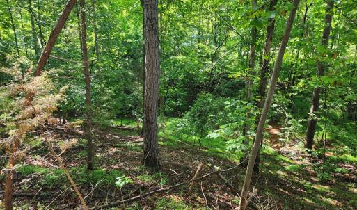 Photo #1 of Forest Shores Road, Wirtz, VA 0.7 acres