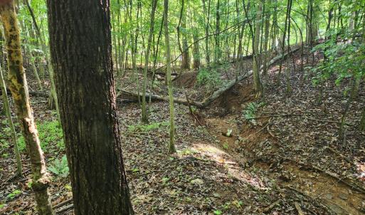Photo #2 of Forest Shores Road, Wirtz, VA 0.7 acres