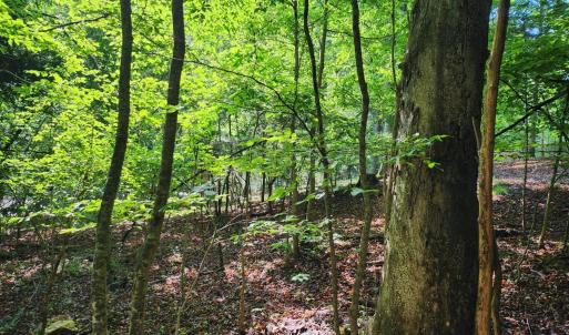 Photo #5 of Forest Shores Road, Wirtz, VA 0.7 acres