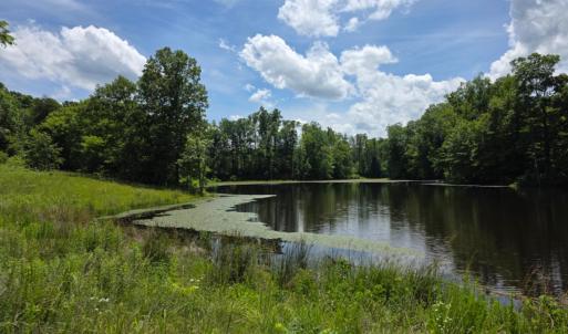 Photo #1 of 1239 Morris Creek Road, Darlington Heights, VA 23.2 acres