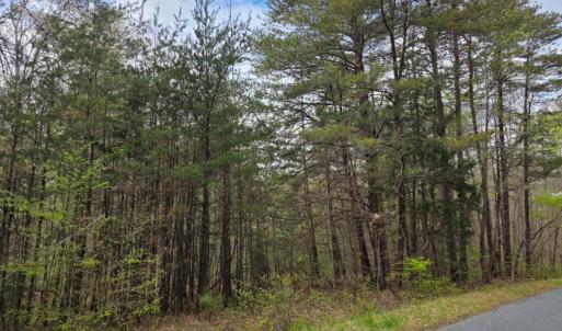 Photo #3 of 1239 Morris Creek Road, Darlington Heights, VA 23.2 acres