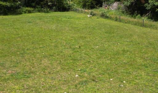 Photo #18 of 150 Mt. Zion Road, Phenix, VA 29.3 acres