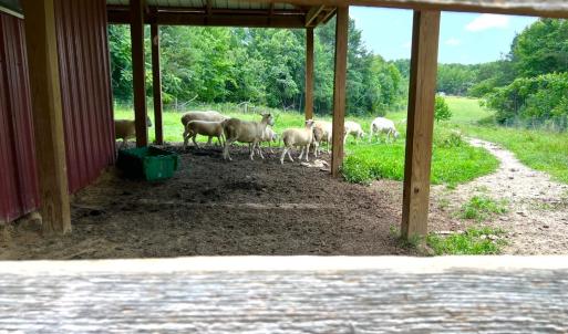 Photo #5 of 150 Mt. Zion Road, Phenix, VA 29.3 acres