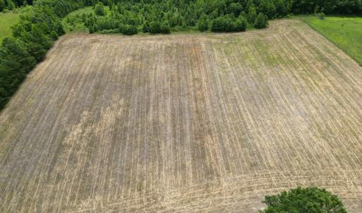 Photo #24 of 150 Mt. Zion Road, Phenix, VA 29.3 acres