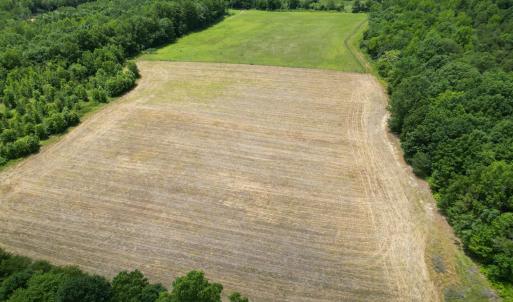 Photo #23 of 150 Mt. Zion Road, Phenix, VA 29.3 acres