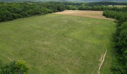 Photo #15 of 150 Mt. Zion Road, Phenix, VA 29.3 acres