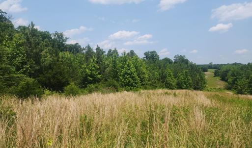 Photo #9 of Foxfire, Gladys, VA 68.0 acres