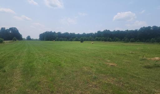 Photo #3 of Foxfire, Gladys, VA 68.0 acres