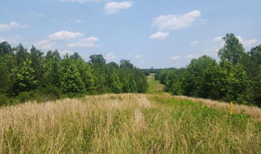 Photo #10 of Foxfire, Gladys, VA 68.0 acres