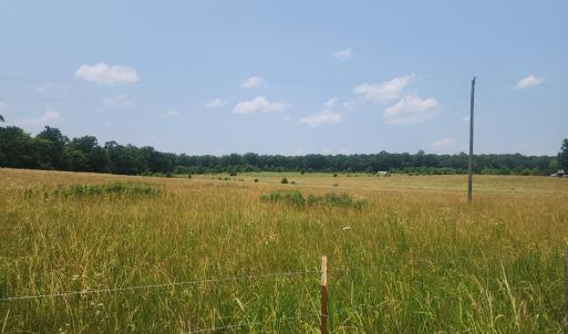Photo #1 of Foxfire, Gladys, VA 68.0 acres