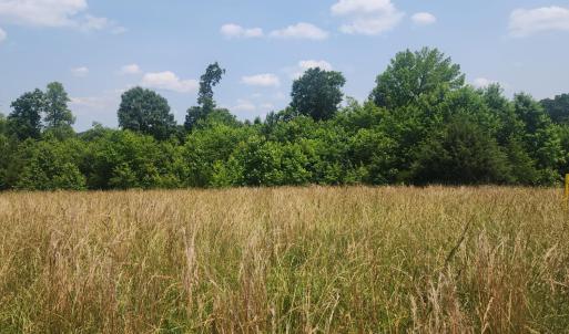 Photo #8 of Foxfire, Gladys, VA 68.0 acres