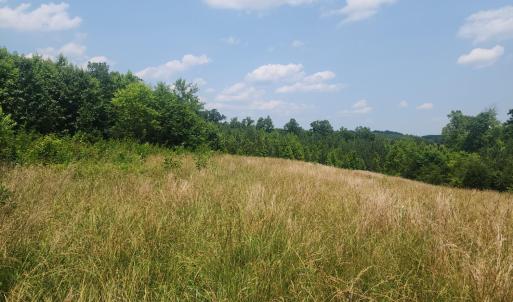 Photo #7 of Foxfire, Gladys, VA 68.0 acres
