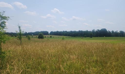 Photo #6 of Foxfire, Gladys, VA 68.0 acres