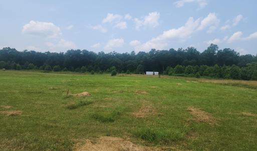 Photo #4 of Foxfire, Gladys, VA 68.0 acres
