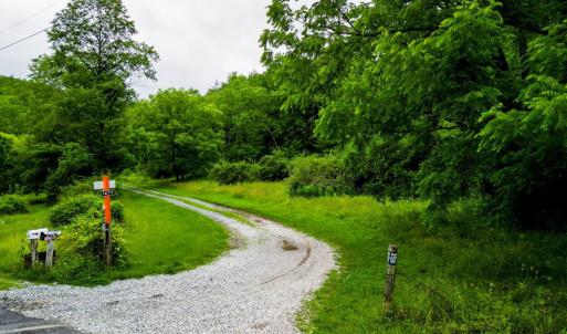 Photo #18 of Pedlar River Road, Vesuvius, VA 16.5 acres
