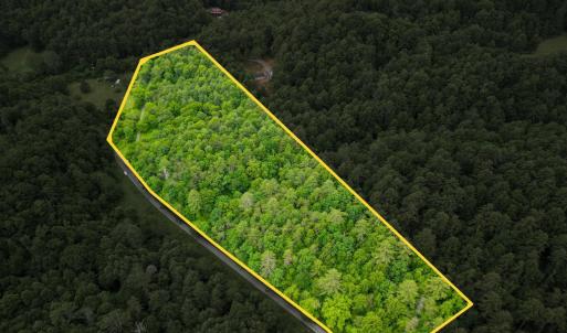 Photo #6 of Pedlar River Road, Vesuvius, VA 16.5 acres