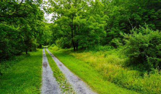 Photo #14 of Pedlar River Road, Vesuvius, VA 16.5 acres