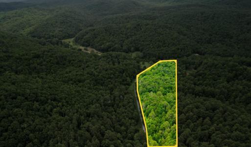 Photo #4 of Pedlar River Road, Vesuvius, VA 16.5 acres