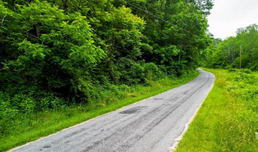 Photo #16 of Pedlar River Road, Vesuvius, VA 16.5 acres