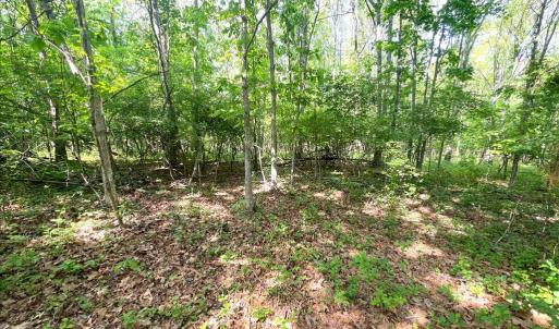 Photo #9 of Amherst Highway, Monroe, VA 33.7 acres