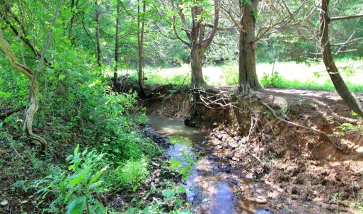 Photo #4 of Story Road, Concord, VA 80.0 acres