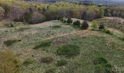 Photo #5 of Clarion Road, Altavista, VA 9.5 acres