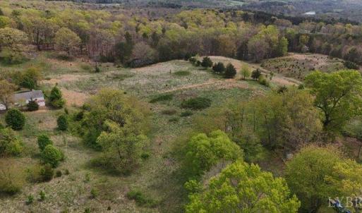 Photo #6 of Clarion Road, Altavista, VA 9.5 acres