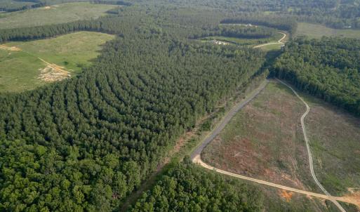 Photo #8 of 1100 Grandmas Hill Road, Amherst, VA 115.0 acres