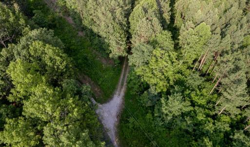 Photo #15 of 1100 Grandmas Hill Road, Amherst, VA 115.0 acres
