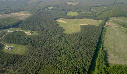 Photo #6 of 1100 Grandmas Hill Road, Amherst, VA 115.0 acres
