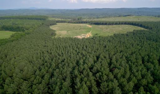 Photo #13 of 1100 Grandmas Hill Road, Amherst, VA 115.0 acres