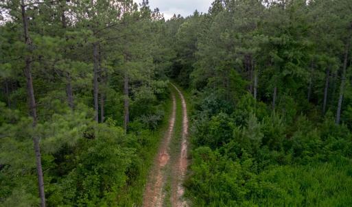 Photo #17 of 1100 Grandmas Hill Road, Amherst, VA 115.0 acres