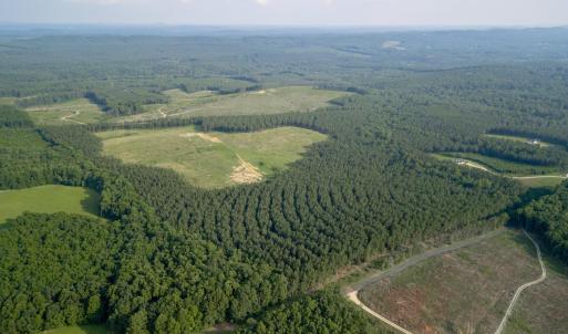 Photo #7 of 1100 Grandmas Hill Road, Amherst, VA 115.0 acres