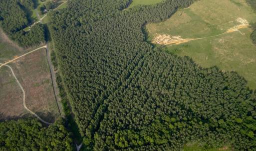 Photo #10 of 1100 Grandmas Hill Road, Amherst, VA 115.0 acres