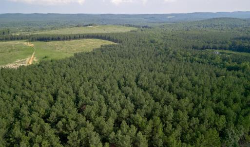 Photo #12 of 1100 Grandmas Hill Road, Amherst, VA 115.0 acres