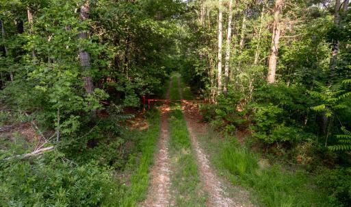 Photo #16 of 1100 Grandmas Hill Road, Amherst, VA 115.0 acres